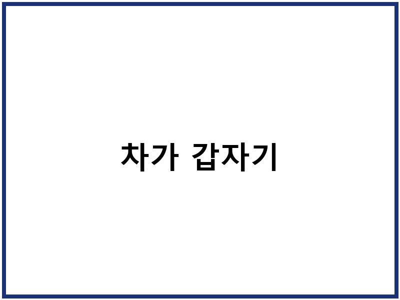 차가 갑자기