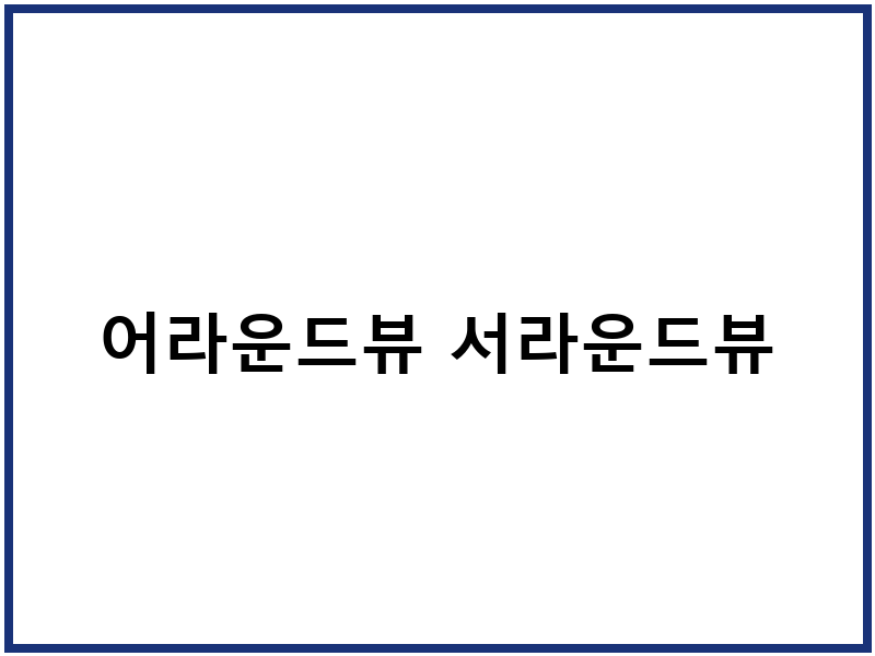 어라운드뷰 서라운드뷰
