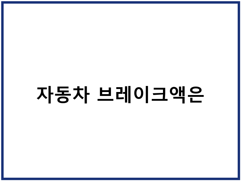 자동차 브레이크액은