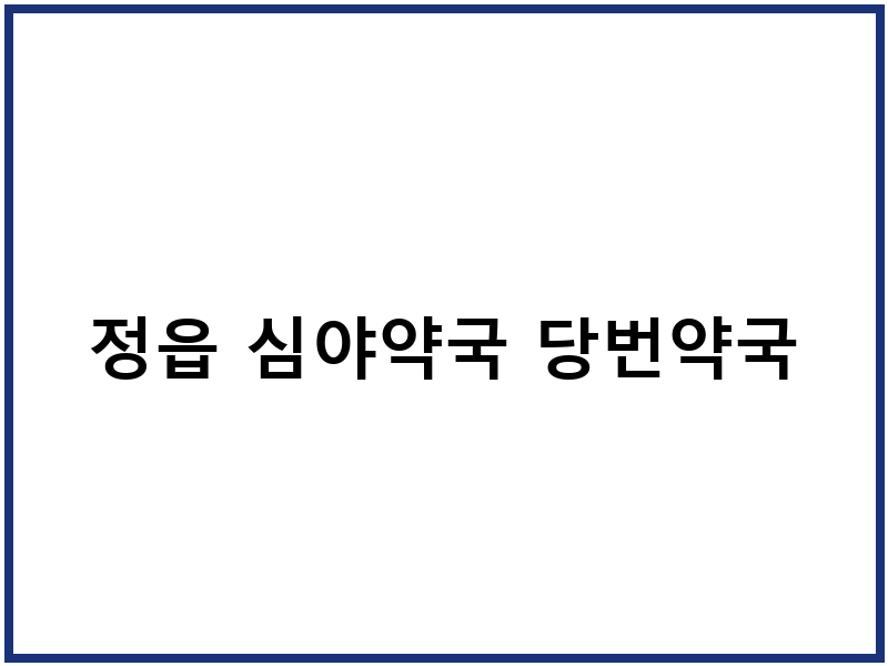 정읍 심야약국 당번약국